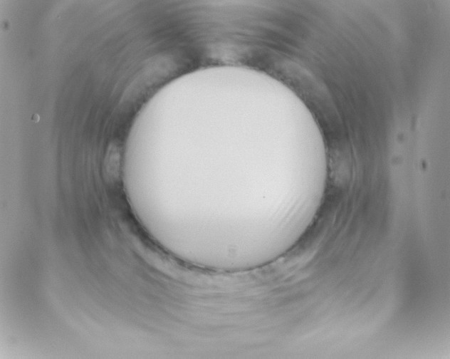 X0000088610036200706151838