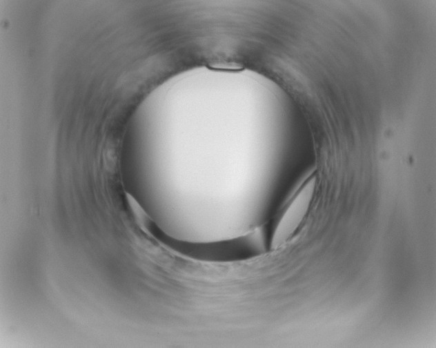 X0000088610037200706151838