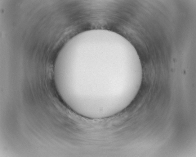 X0000088610038200706151838