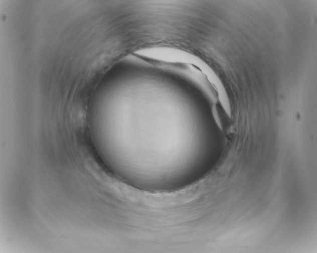 X0000088610039200706151838