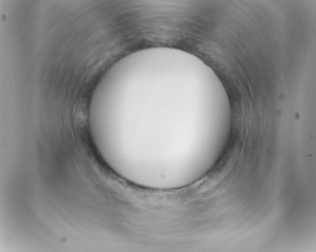 X0000088610040200706151838