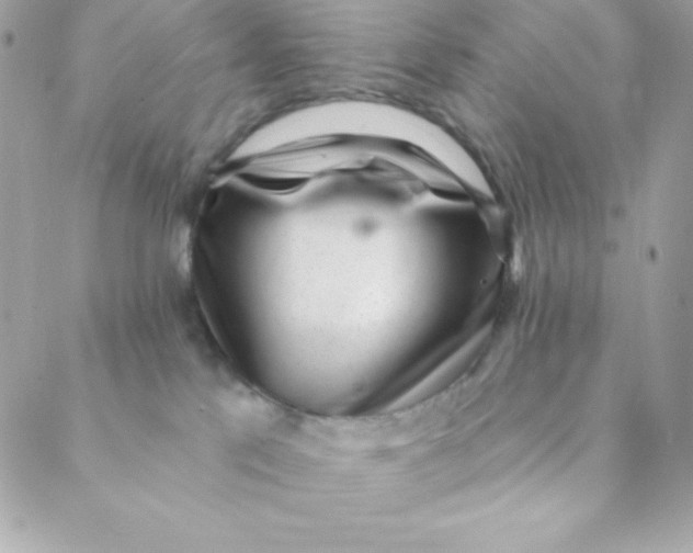 X0000088610041200706151838