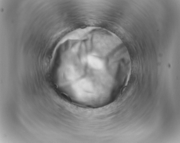 X0000088610043200706151838