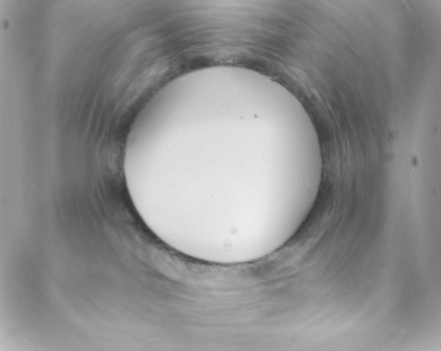 X0000088610044200706151838