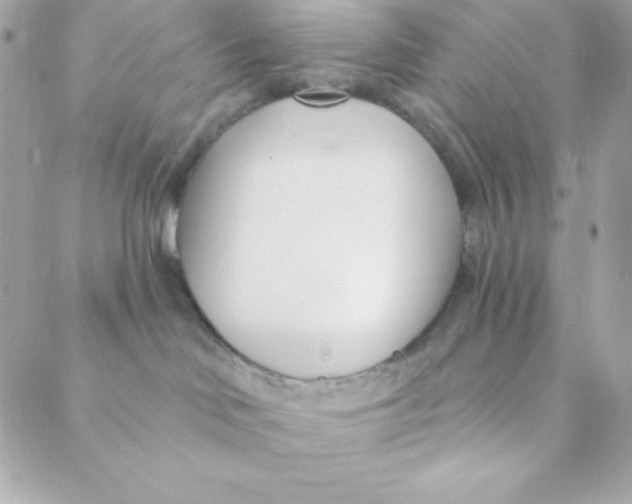 X0000088610046200706151838