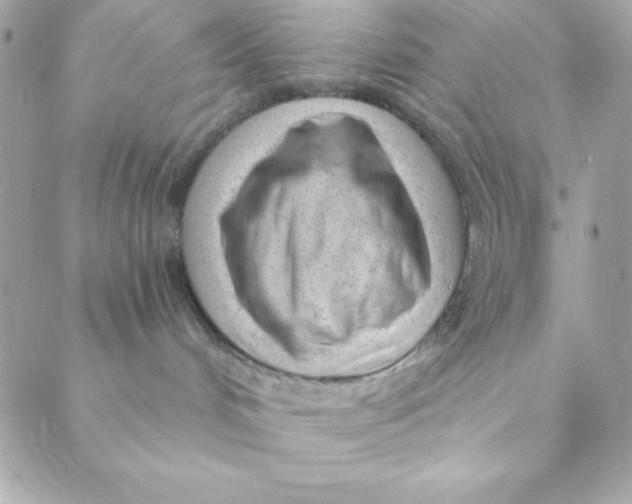 X0000088610048200706151838