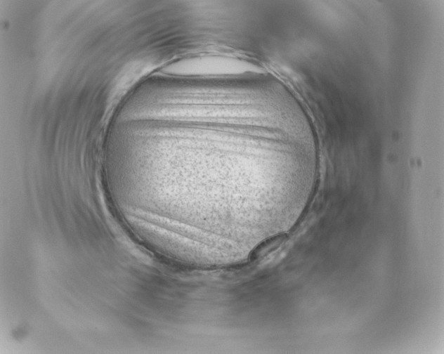 X0000088610049200706151837