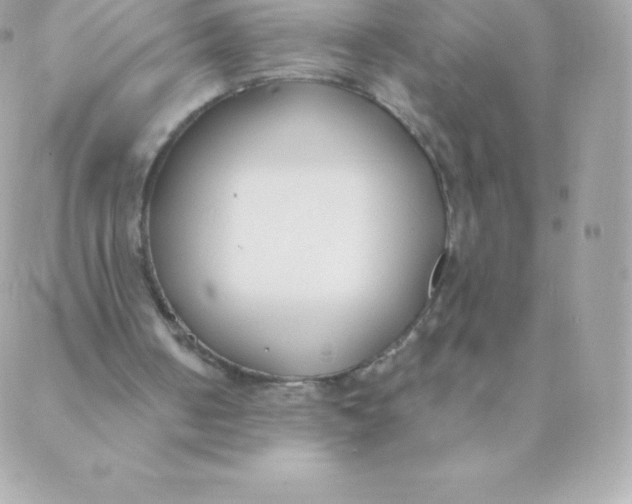 X0000088610050200706151837