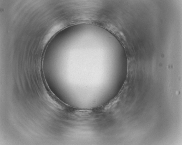 X0000088610051200706151837