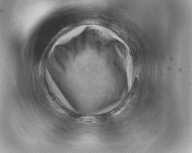 X0000088610052200706151837