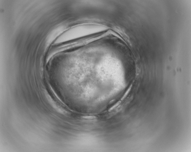 X0000088610053200706151837