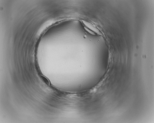 X0000088610054200706151837