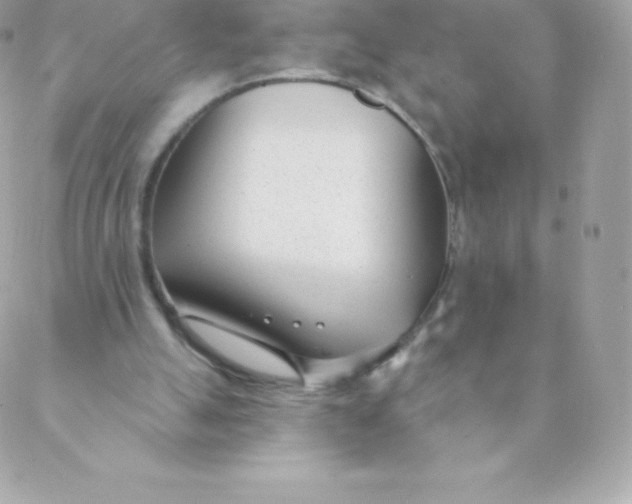 X0000088610055200706151837