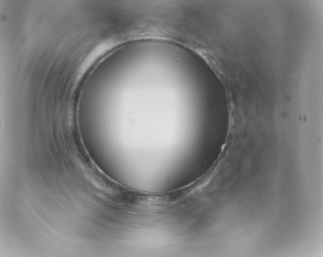 X0000088610056200706151837