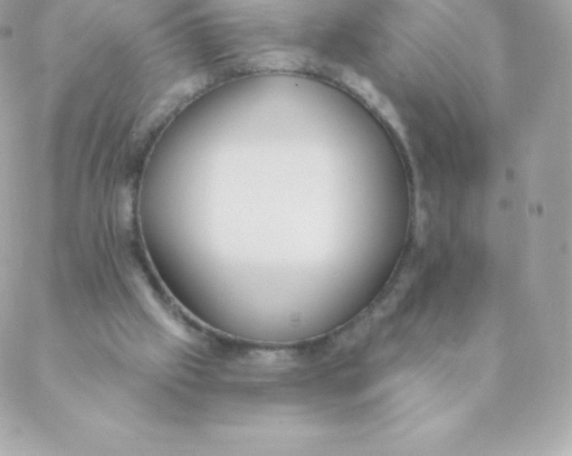 X0000088610057200706151837