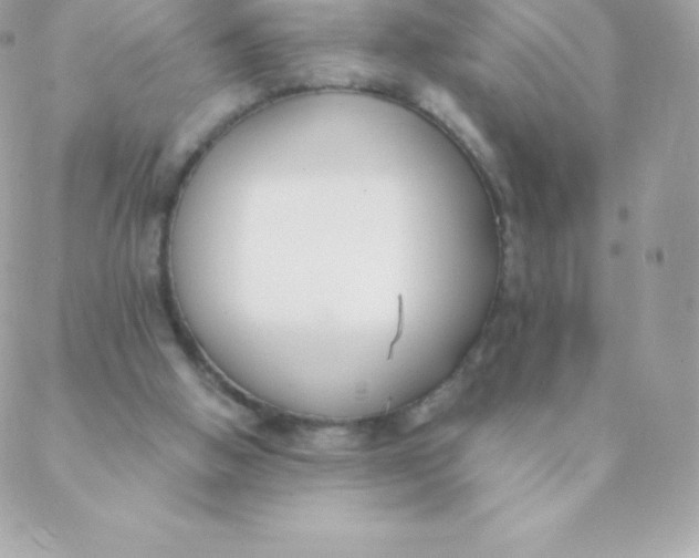 X0000088610058200706151837