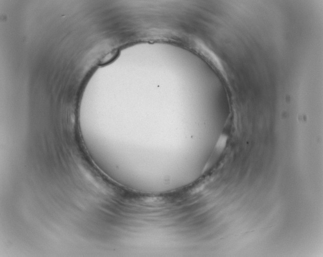 X0000088610059200706151837