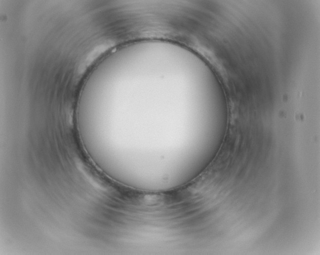 X0000088610060200706151837