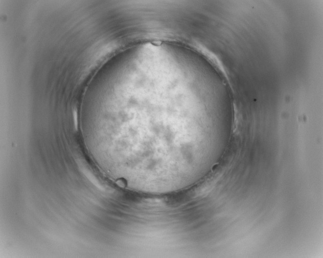 X0000088610061200706151837