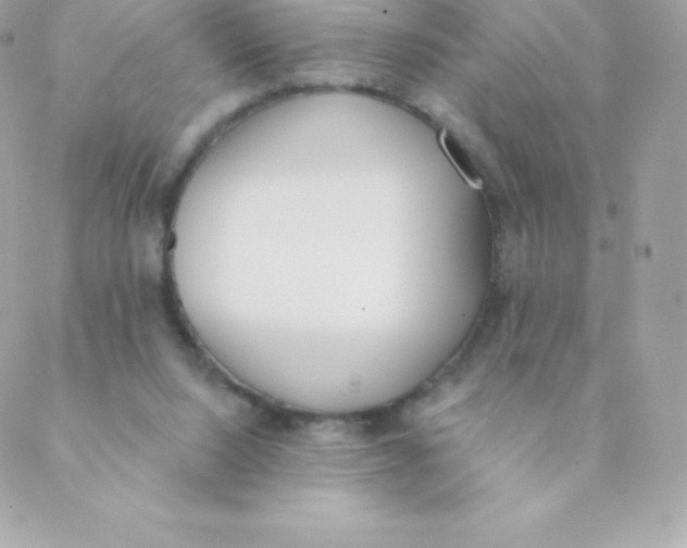 X0000088610064200706151837