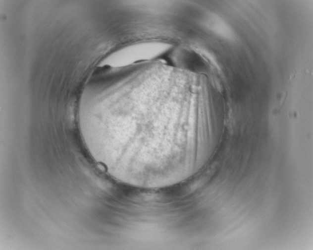 X0000088610065200706151837