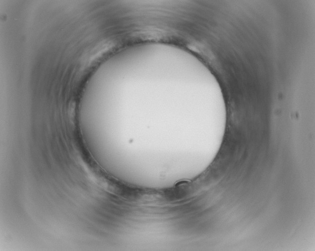 X0000088610066200706151837