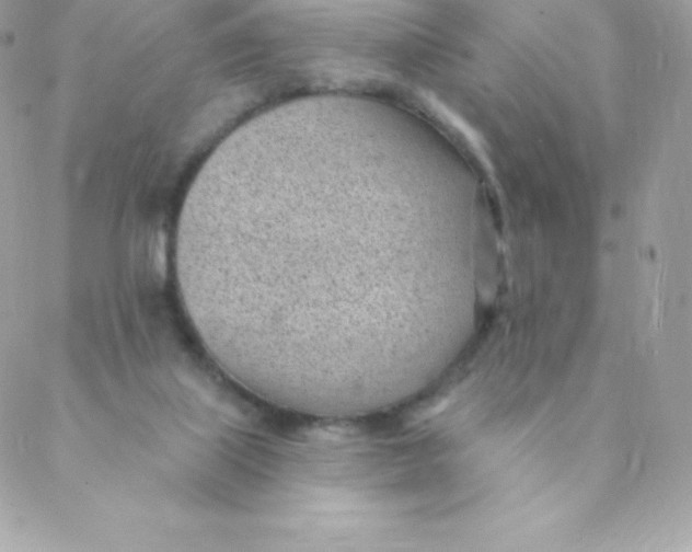 X0000088610067200706151837