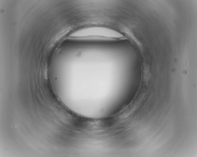 X0000088610068200706151837