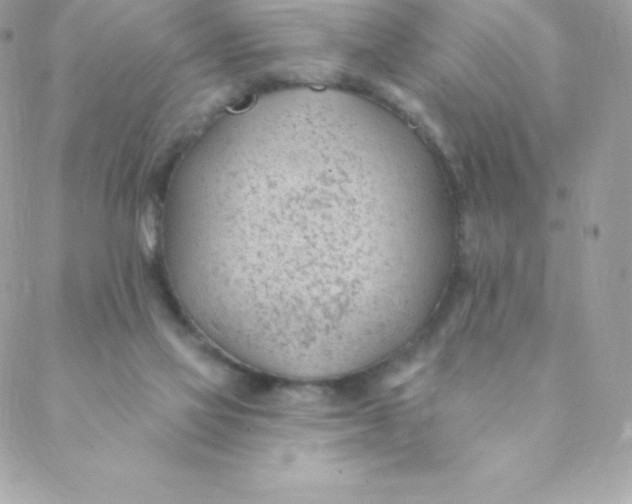 X0000088610069200706151837