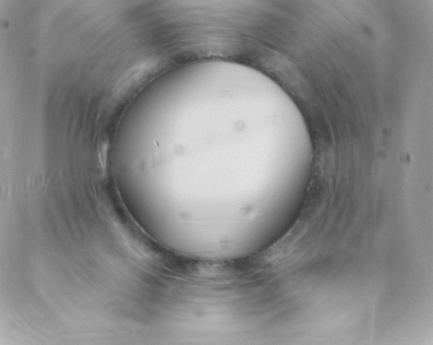 X0000088610070200706151837