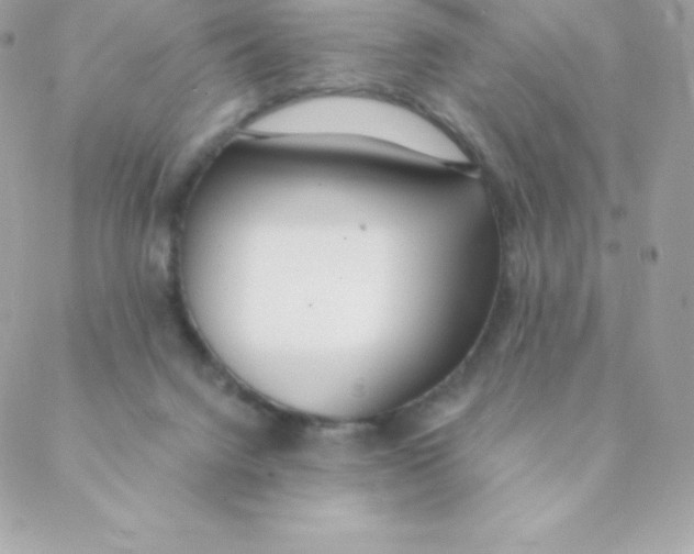 X0000088610072200706151837