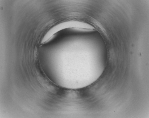 X0000088610073200706151837