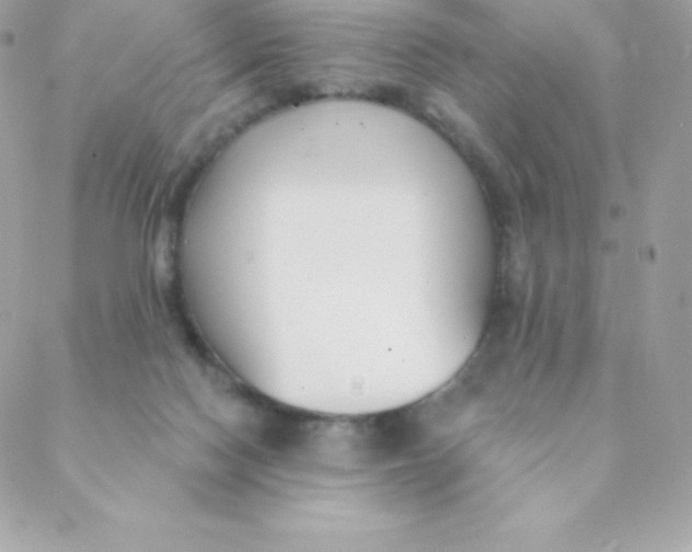 X0000088610074200706151837