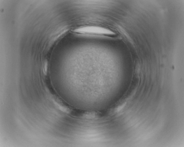 X0000088610076200706151837