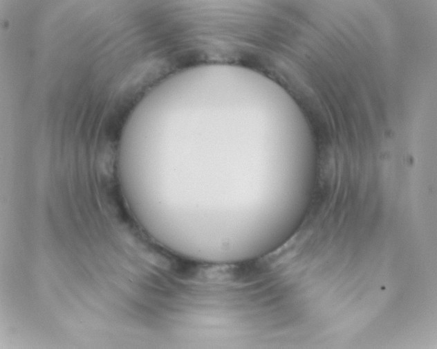 X0000088610078200706151838