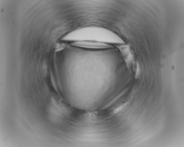 X0000088610080200706151838