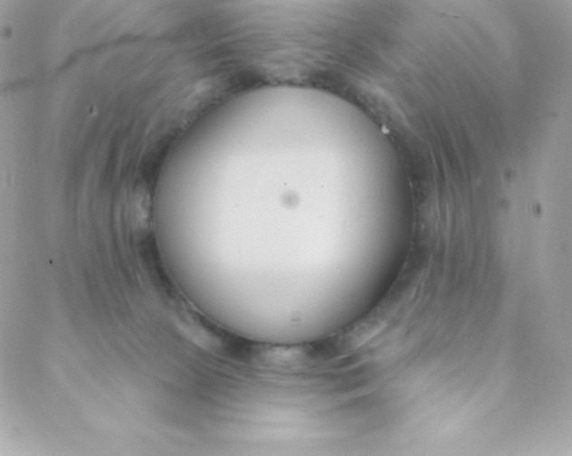 X0000088610081200706151838