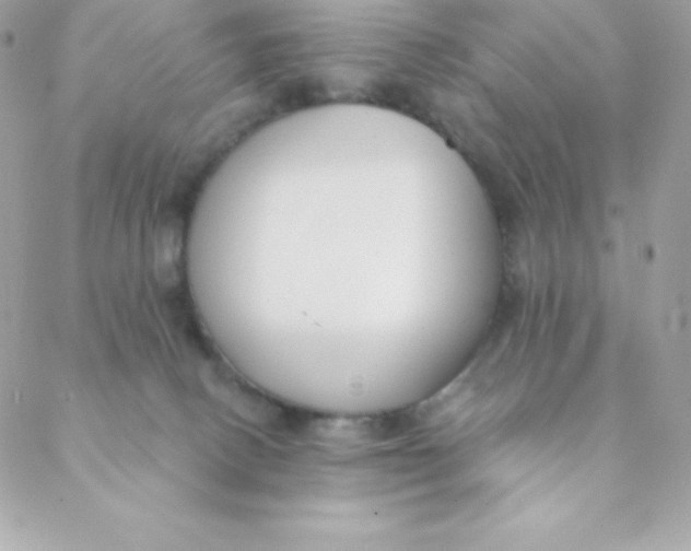 X0000088610082200706151838