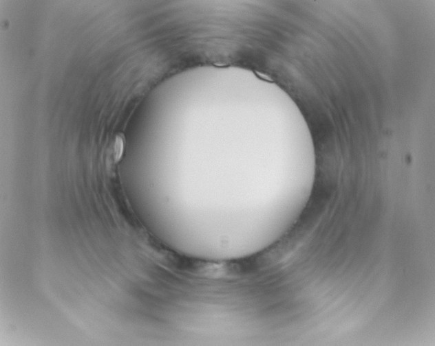 X0000088610083200706151838