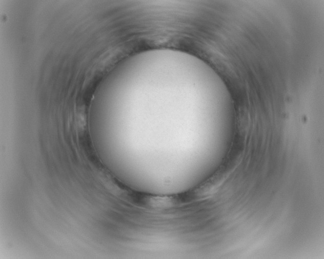 X0000088610085200706151838