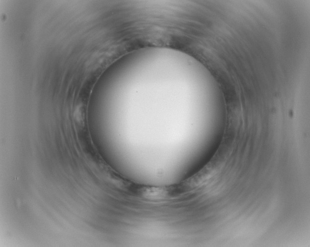 X0000088610088200706151838