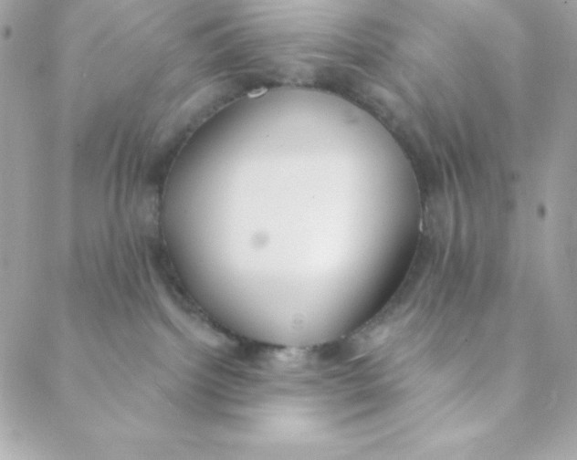 X0000088610092200706151838