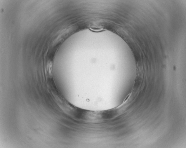 X0000088610094200706151838