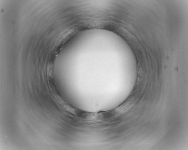 X0000088610096200706151838