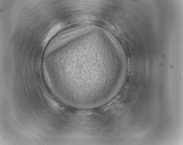 X0000088610099200706151837