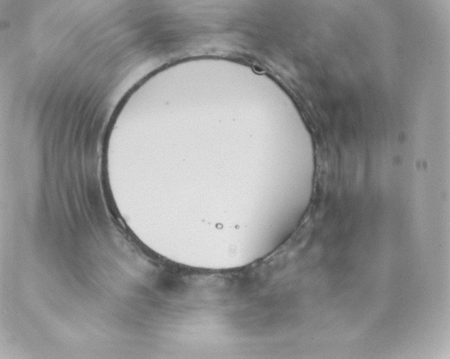 X0000088610100200706151837