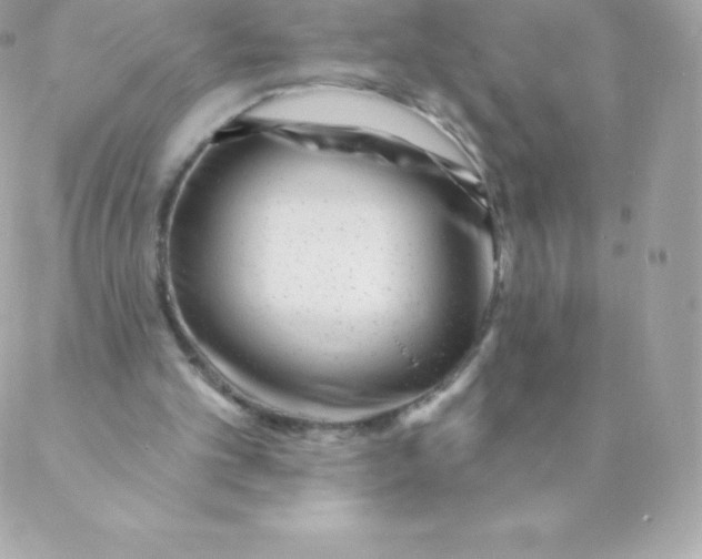 X0000088610101200706151837