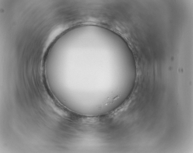 X0000088610102200706151837