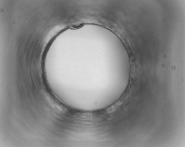 X0000088610104200706151837