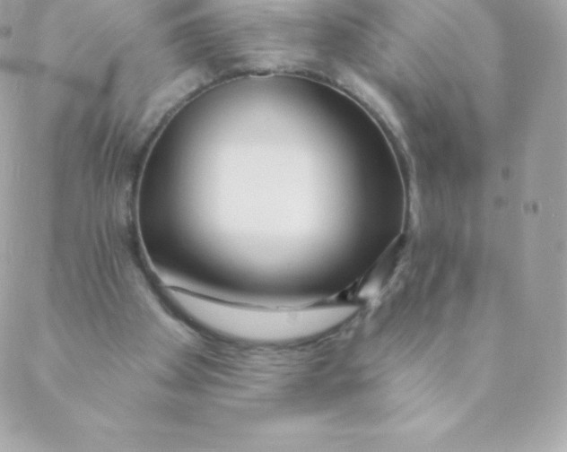 X0000088610105200706151837